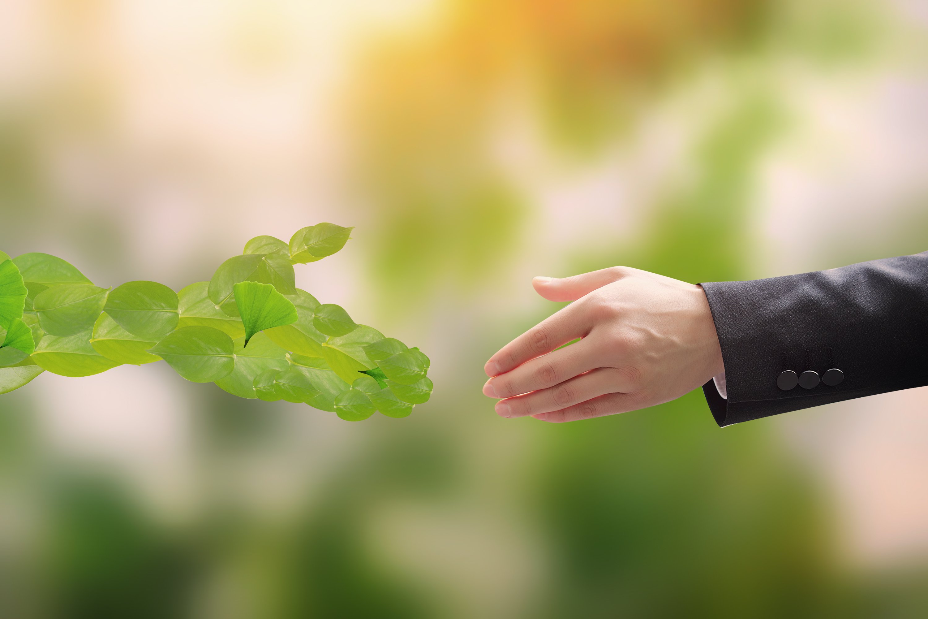 明升mansion88(中国游)最新官方网站