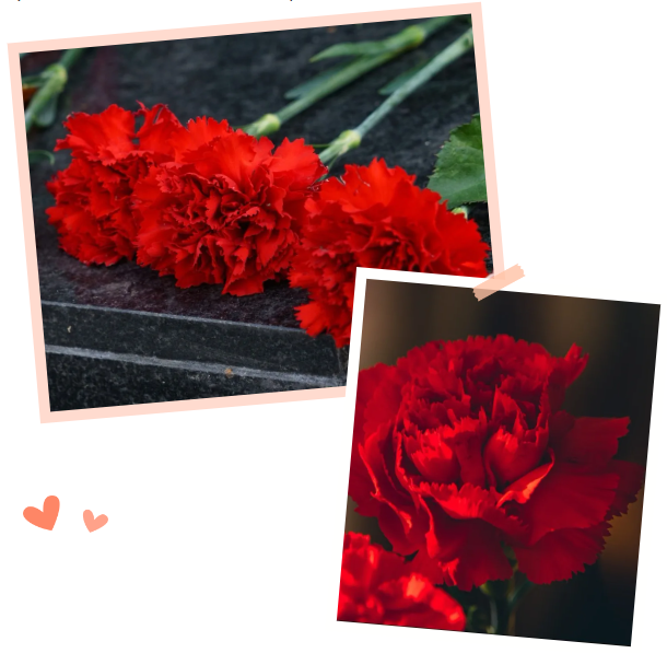 明升mansion88(中国游)最新官方网站