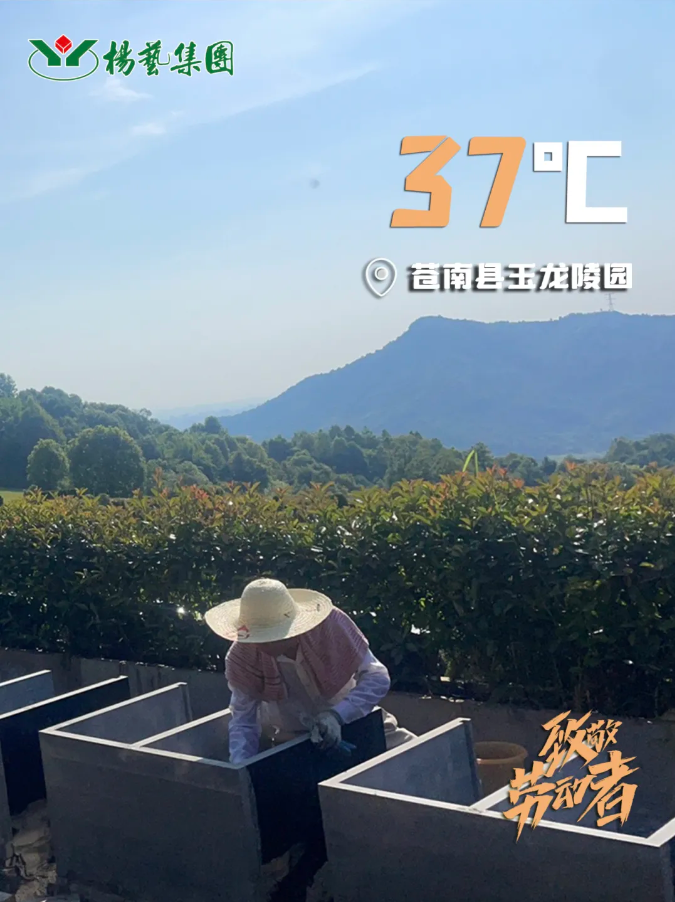 明升mansion88(中国游)最新官方网站