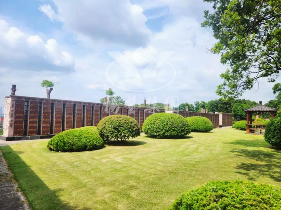 明升mansion88(中国游)最新官方网站