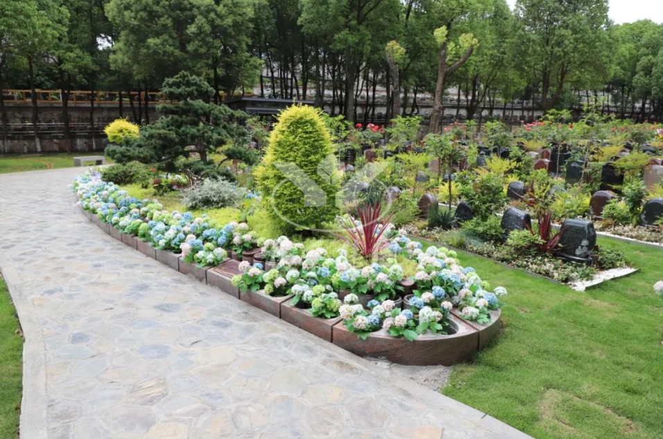 明升mansion88(中国游)最新官方网站