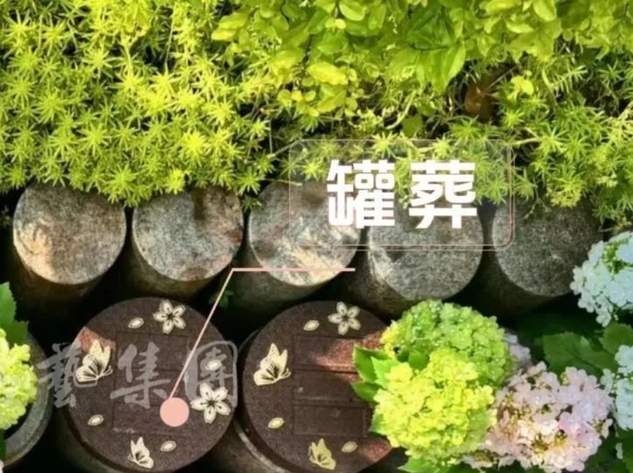 明升mansion88(中国游)最新官方网站