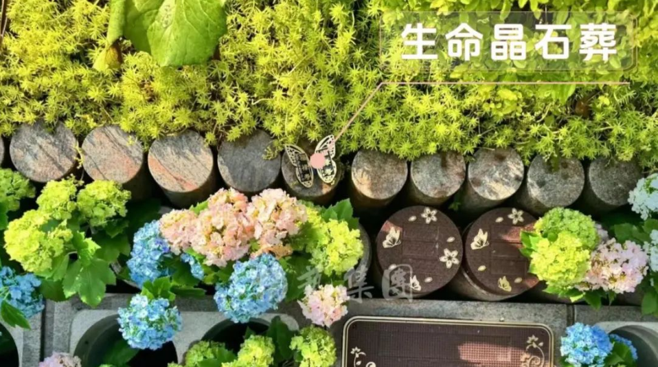 明升mansion88(中国游)最新官方网站