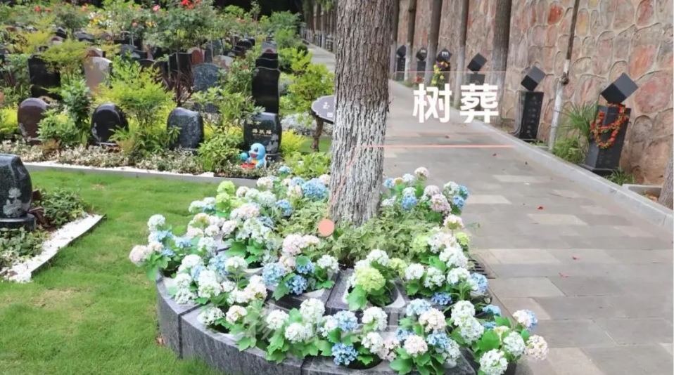 明升mansion88(中国游)最新官方网站