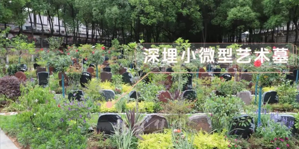 明升mansion88(中国游)最新官方网站