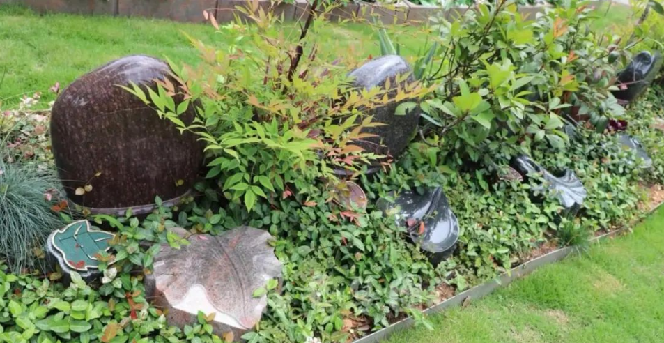 明升mansion88(中国游)最新官方网站