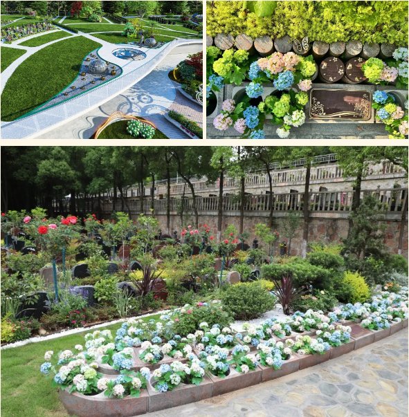 明升mansion88(中国游)最新官方网站