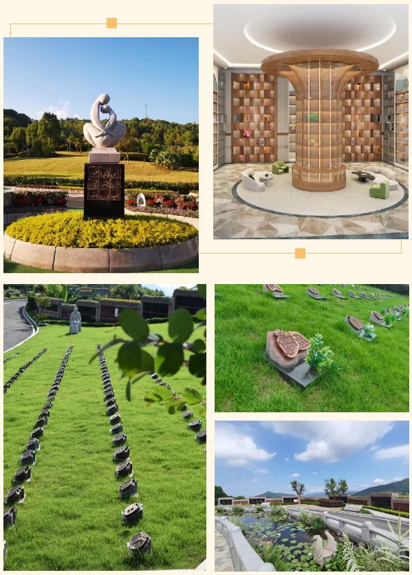 明升mansion88(中国游)最新官方网站