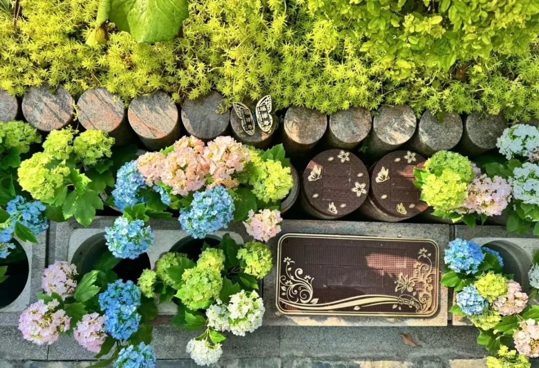 明升mansion88(中国游)最新官方网站