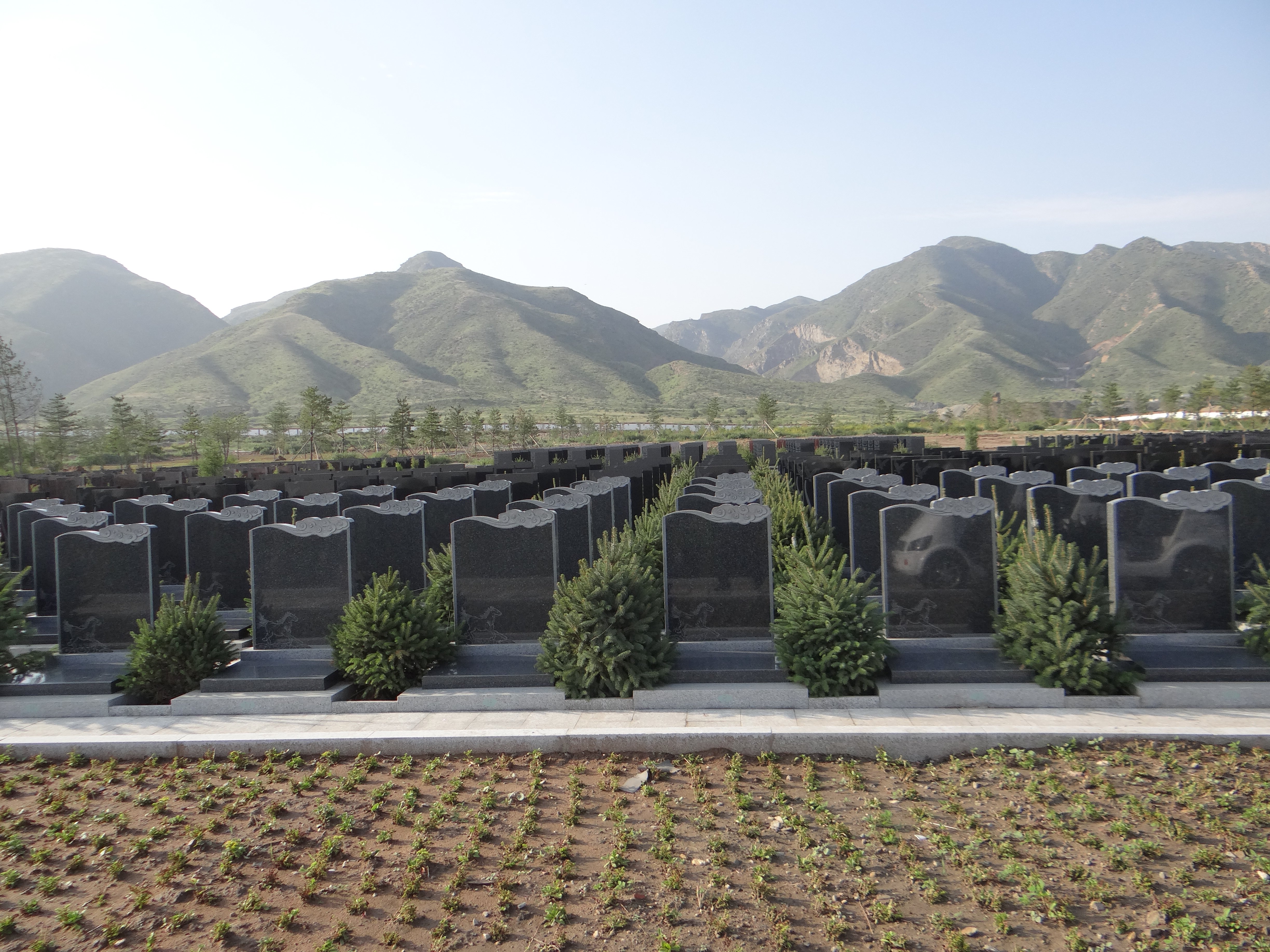 明升mansion88(中国游)最新官方网站