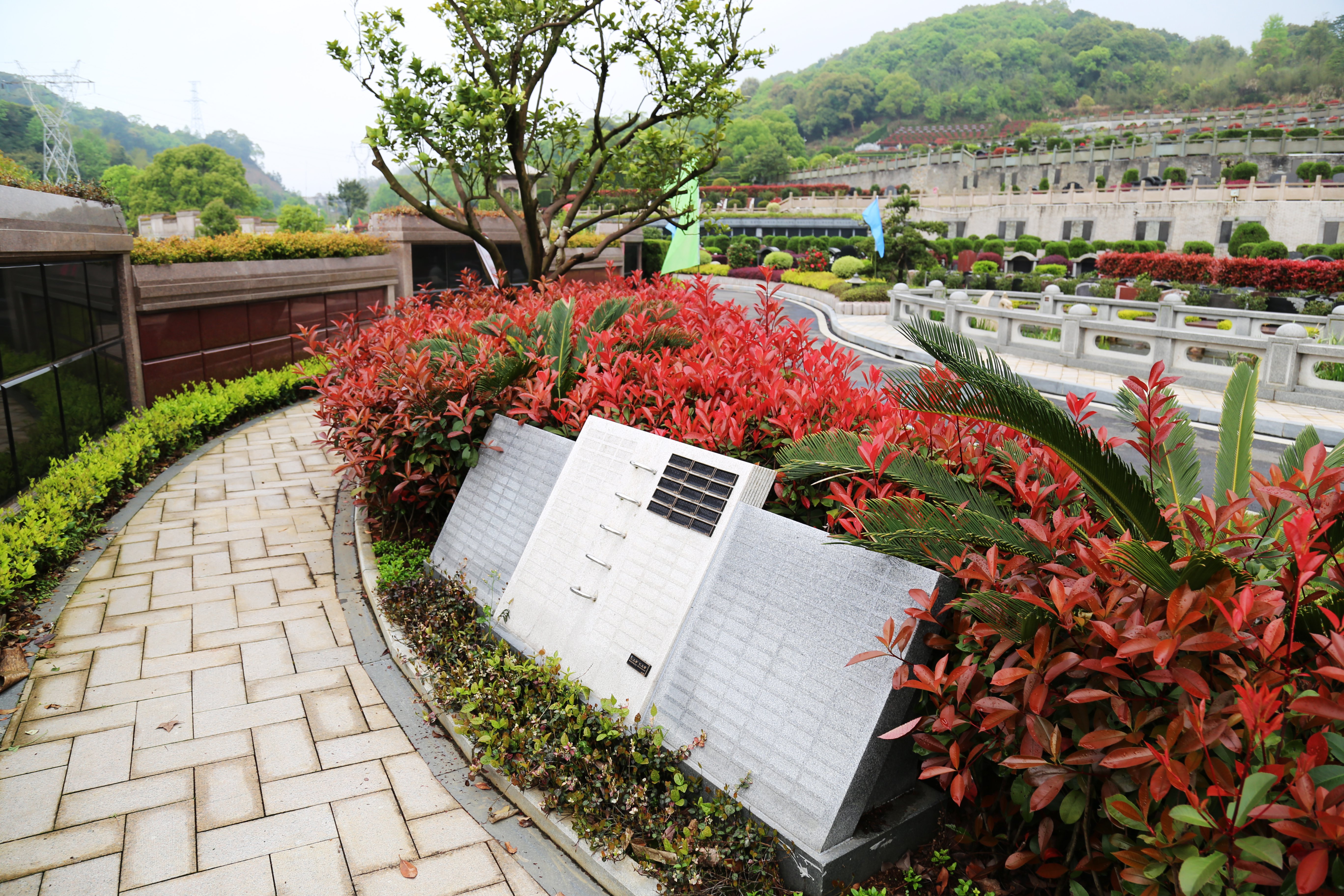 明升mansion88(中国游)最新官方网站