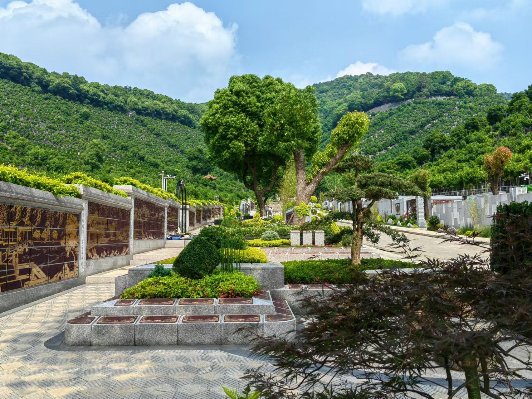 引领绿色生态新民俗，，，，共筑生命协调家园