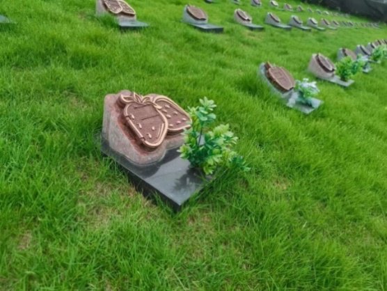 明升mansion88(中国游)最新官方网站