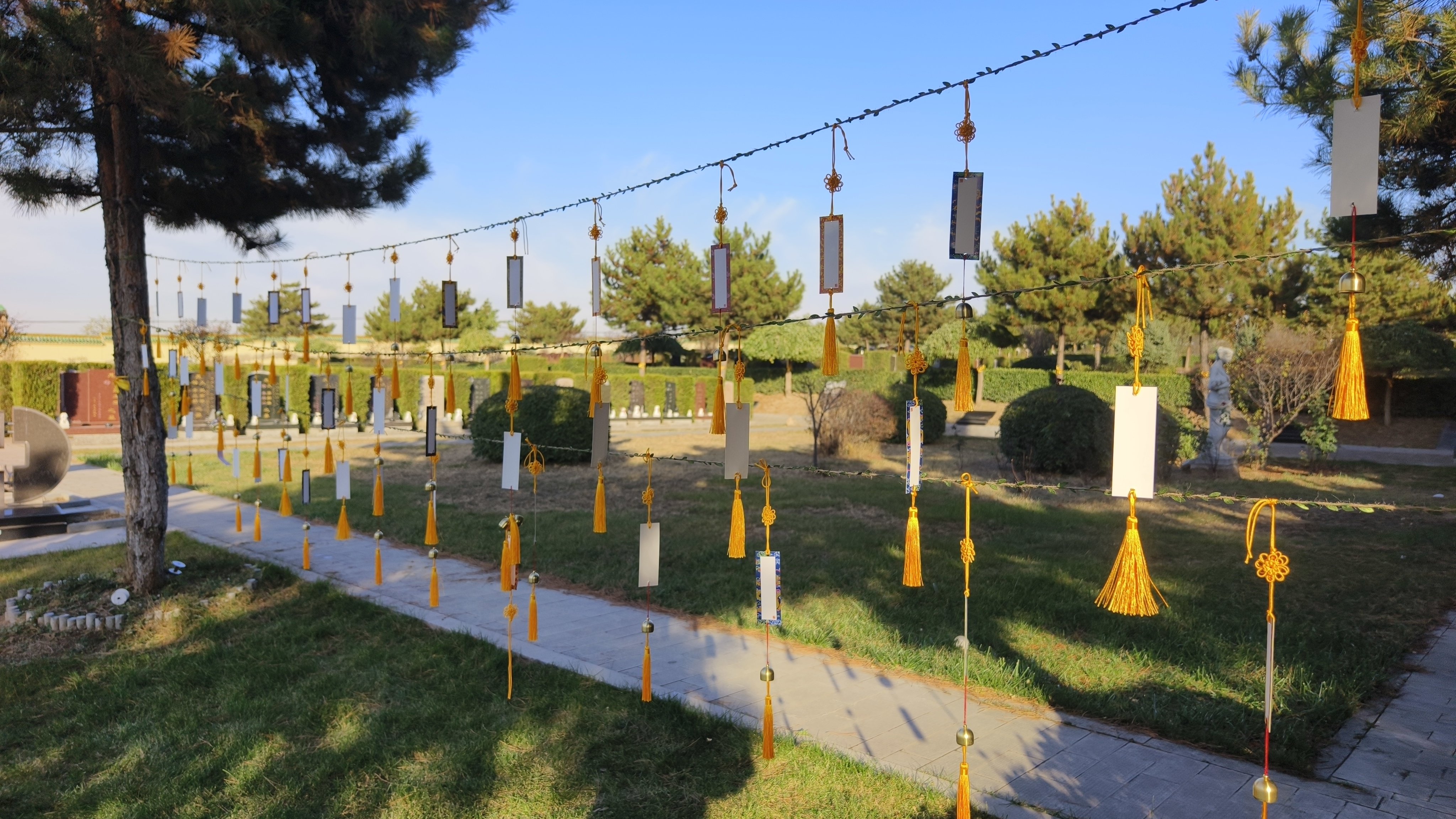 明升mansion88(中国游)最新官方网站