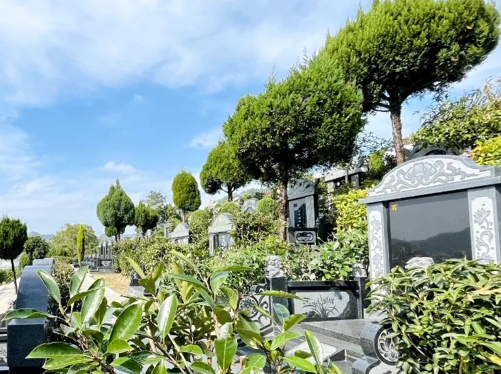 明升mansion88(中国游)最新官方网站