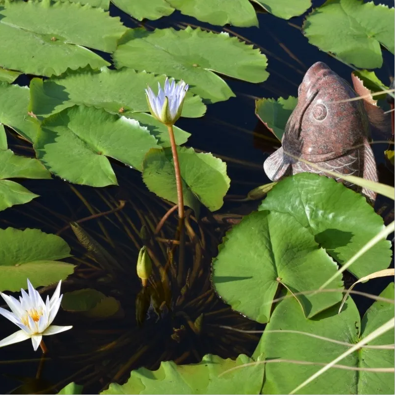 明升mansion88(中国游)最新官方网站