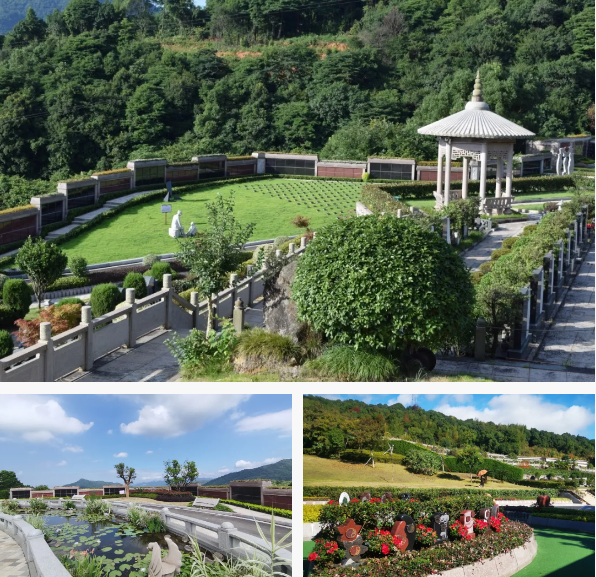 明升mansion88(中国游)最新官方网站