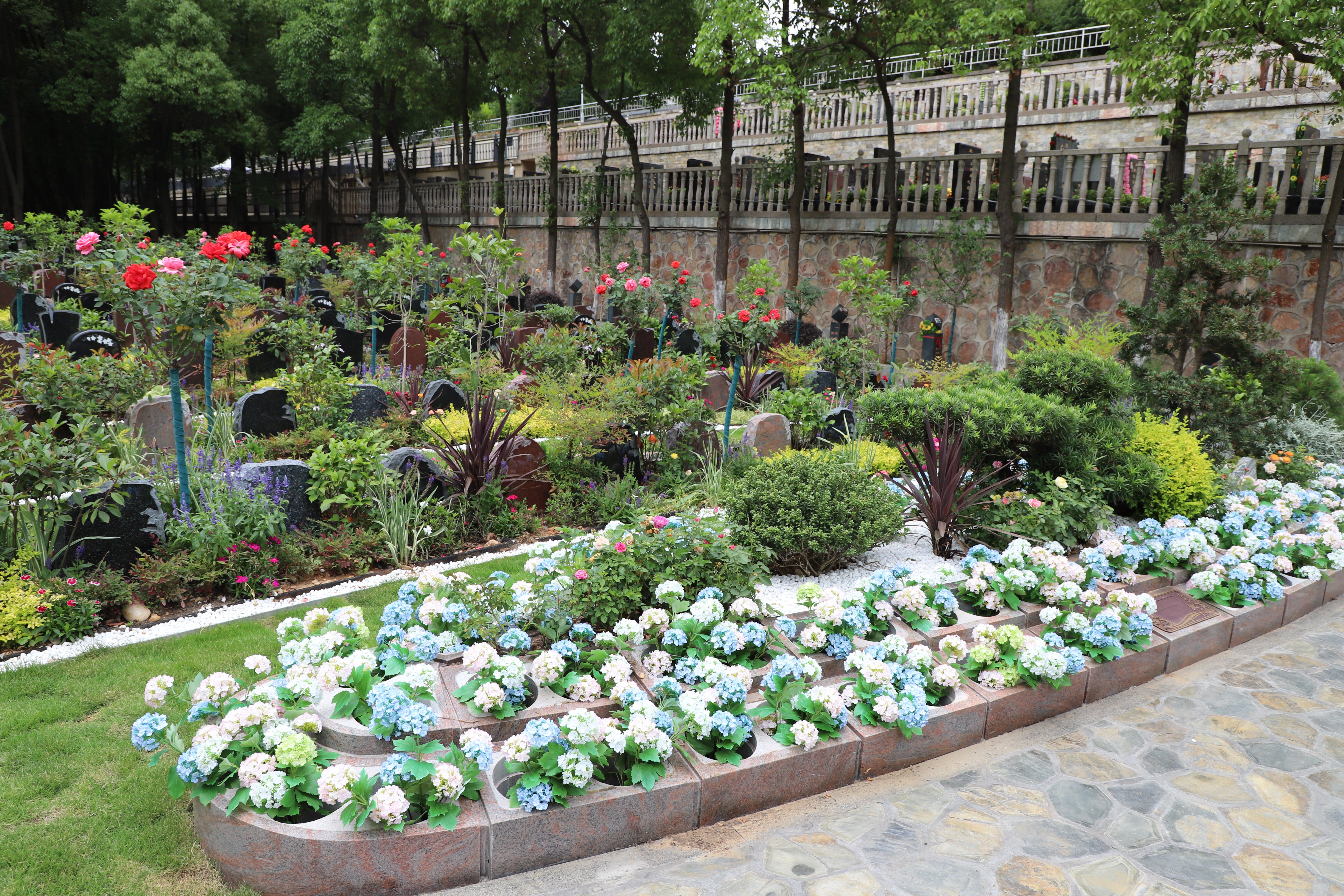 明升mansion88(中国游)最新官方网站