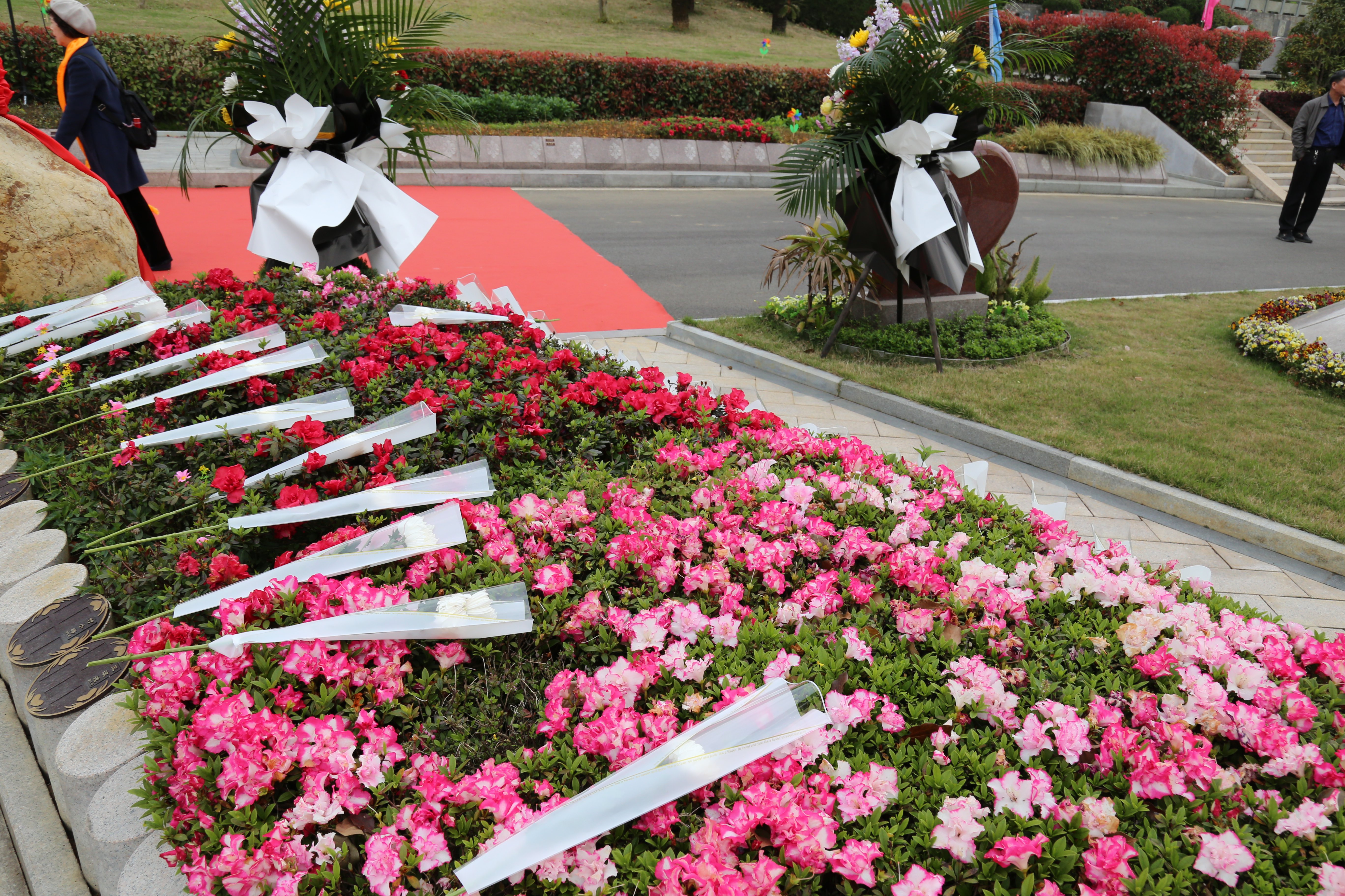 明升mansion88(中国游)最新官方网站