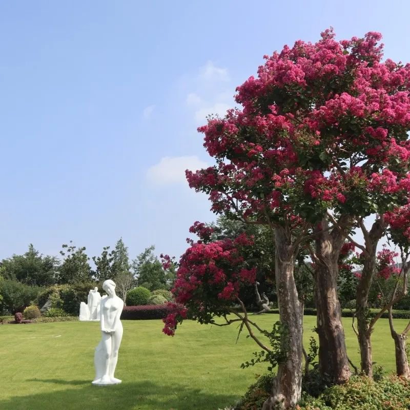 明升mansion88(中国游)最新官方网站