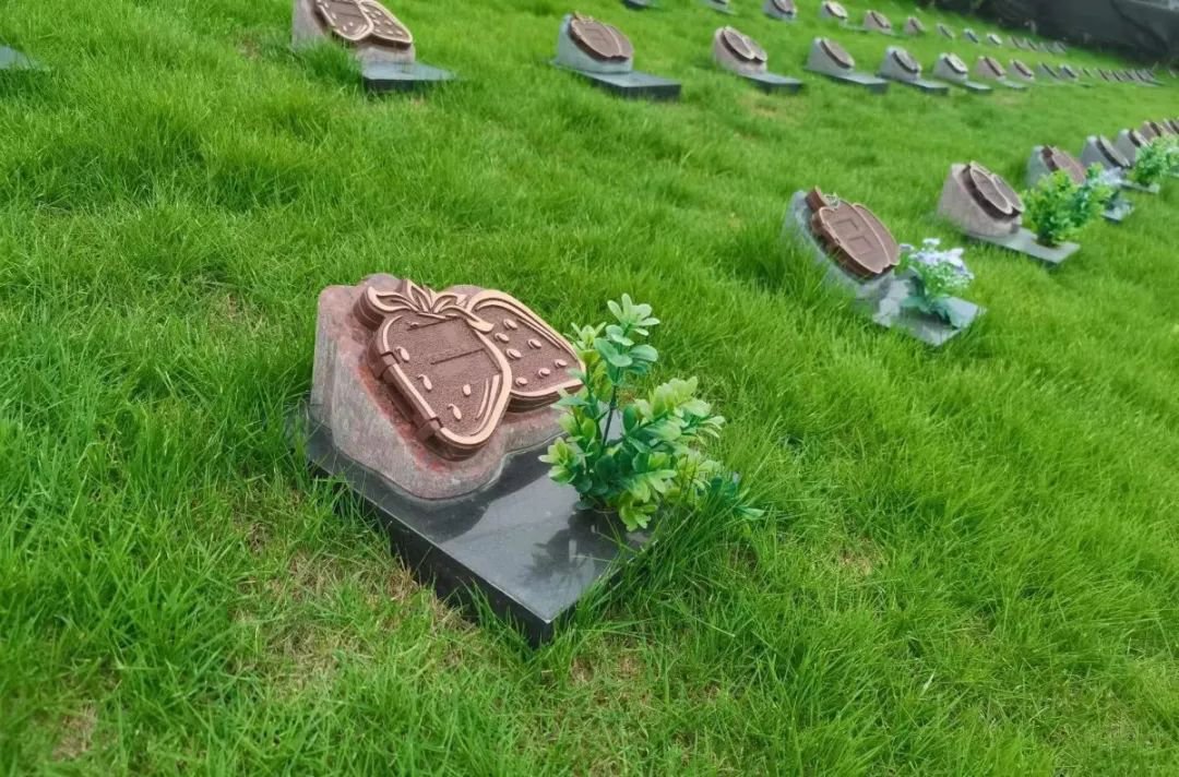 明升mansion88(中国游)最新官方网站