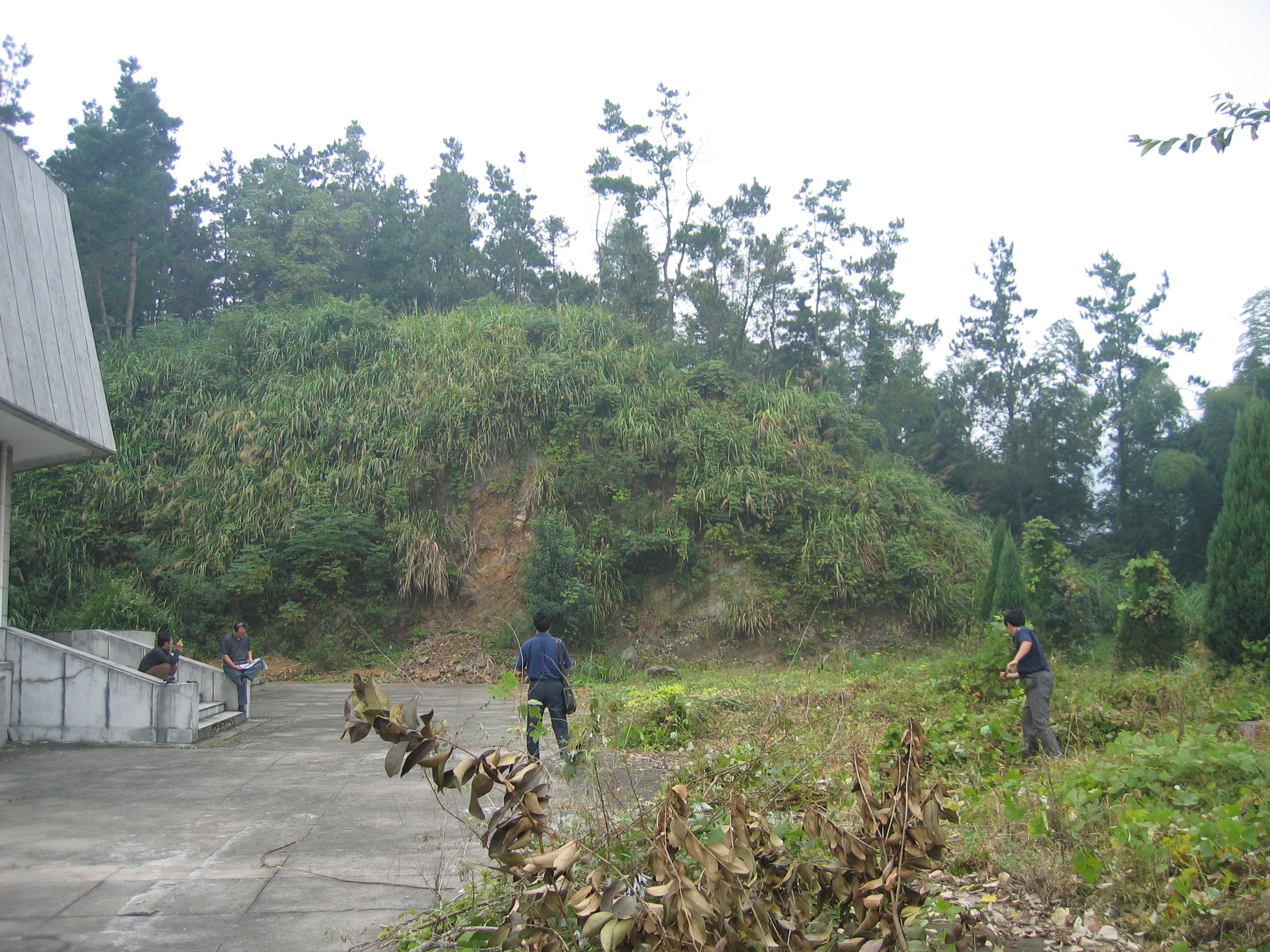 明升mansion88(中国游)最新官方网站