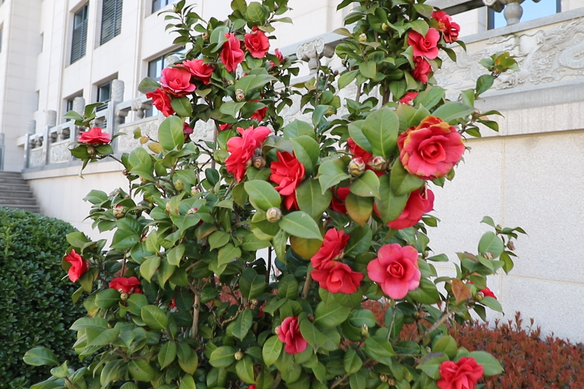 明升mansion88(中国游)最新官方网站