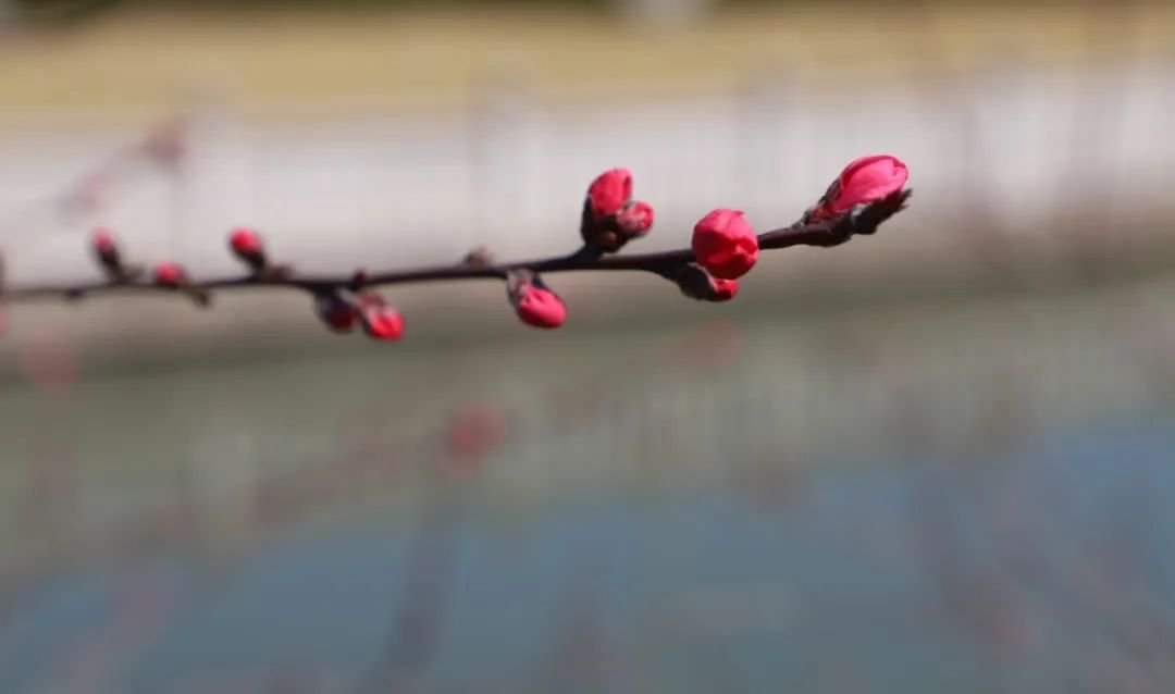 明升mansion88(中国游)最新官方网站