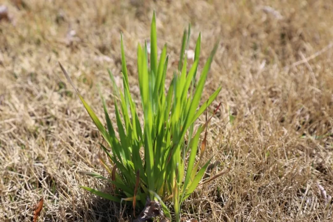 明升mansion88(中国游)最新官方网站