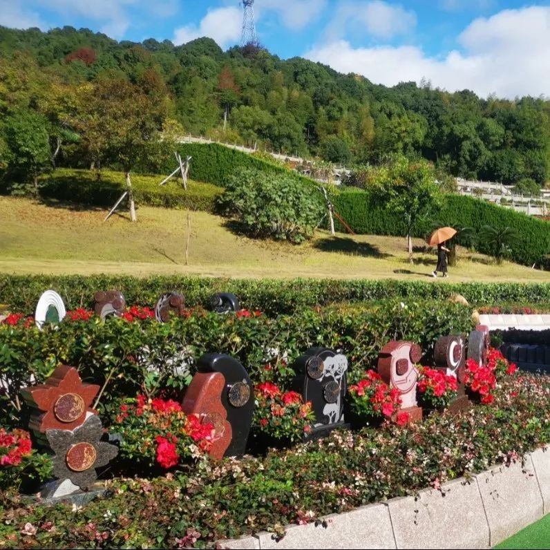 明升mansion88(中国游)最新官方网站