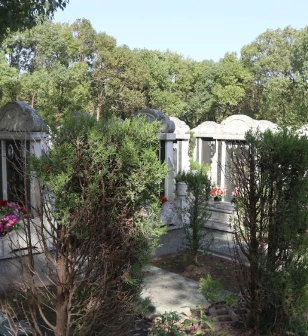 明升mansion88(中国游)最新官方网站