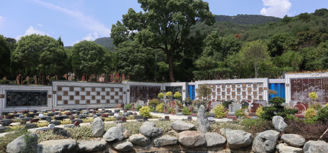 明升mansion88(中国游)最新官方网站