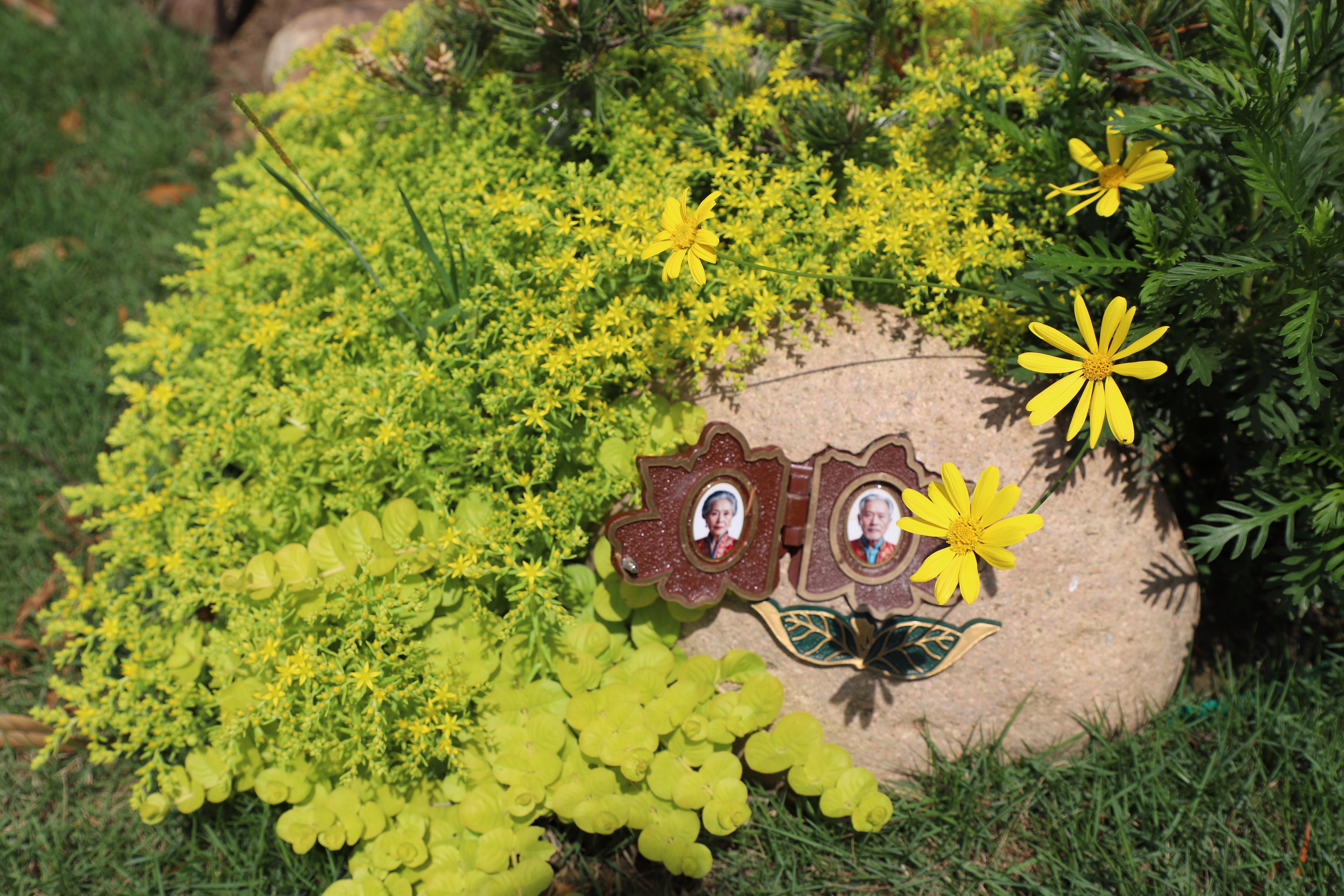 明升mansion88(中国游)最新官方网站