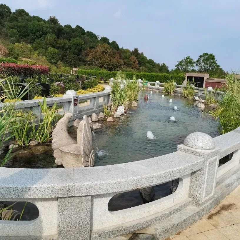 明升mansion88(中国游)最新官方网站