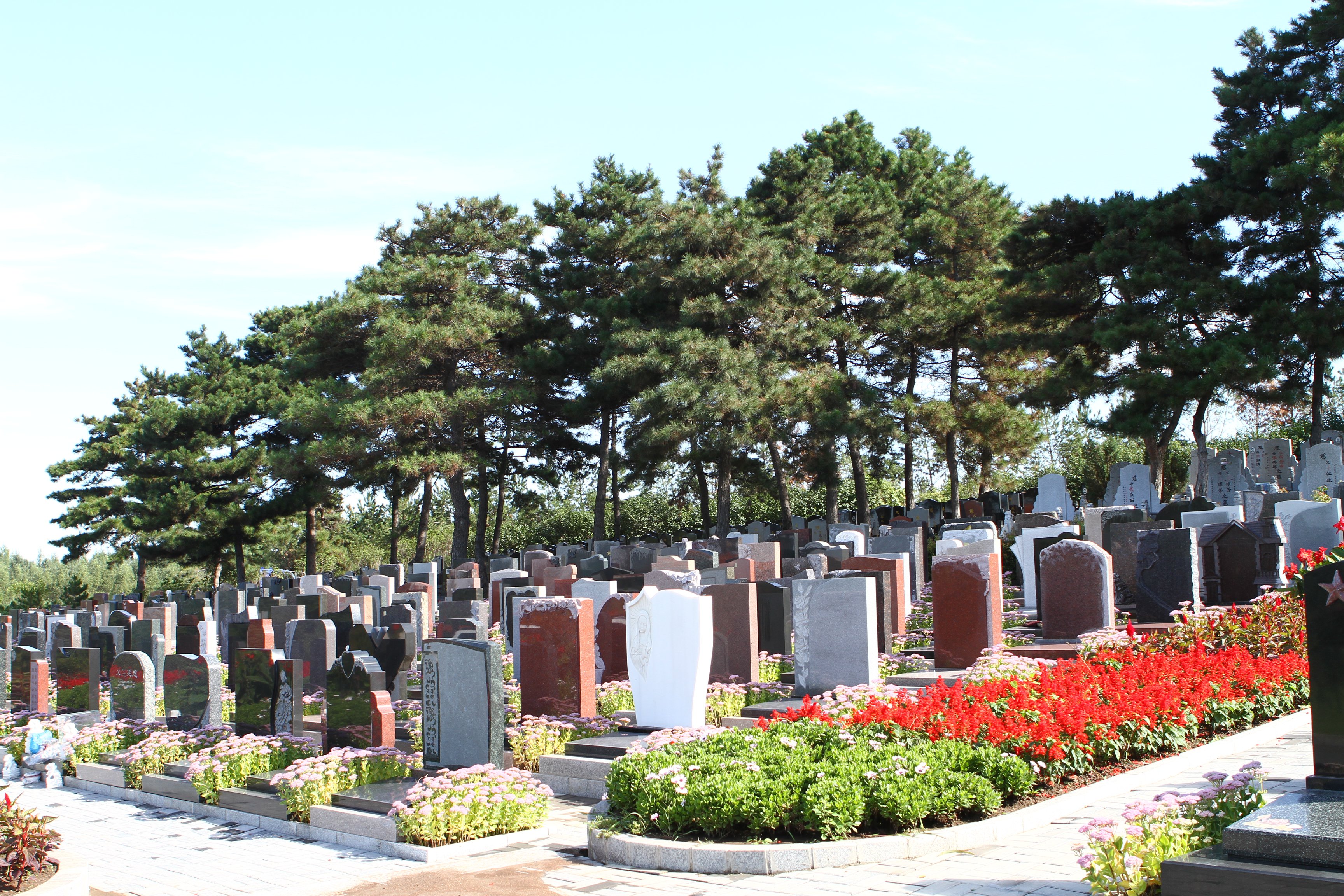 明升mansion88(中国游)最新官方网站