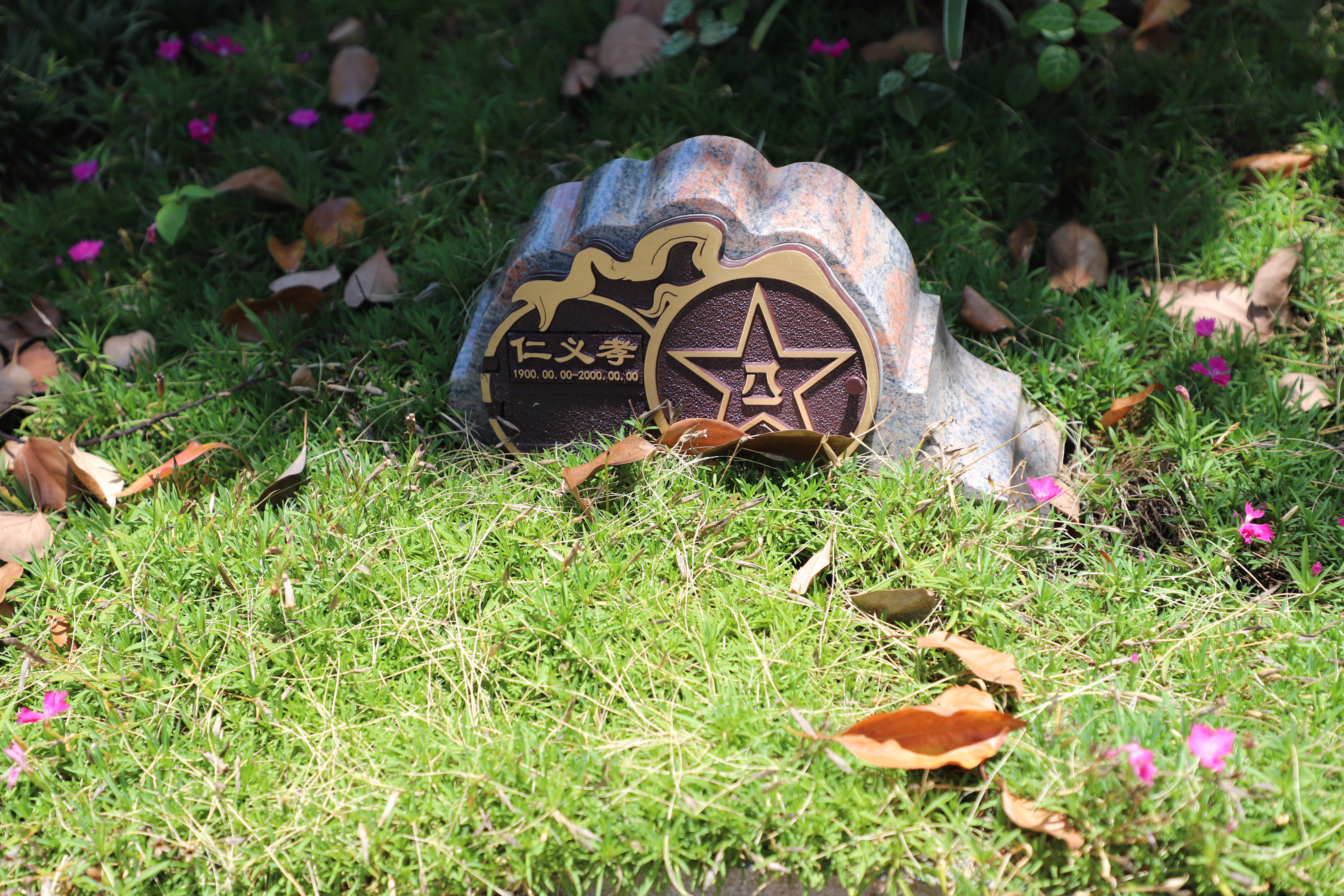 明升mansion88(中国游)最新官方网站