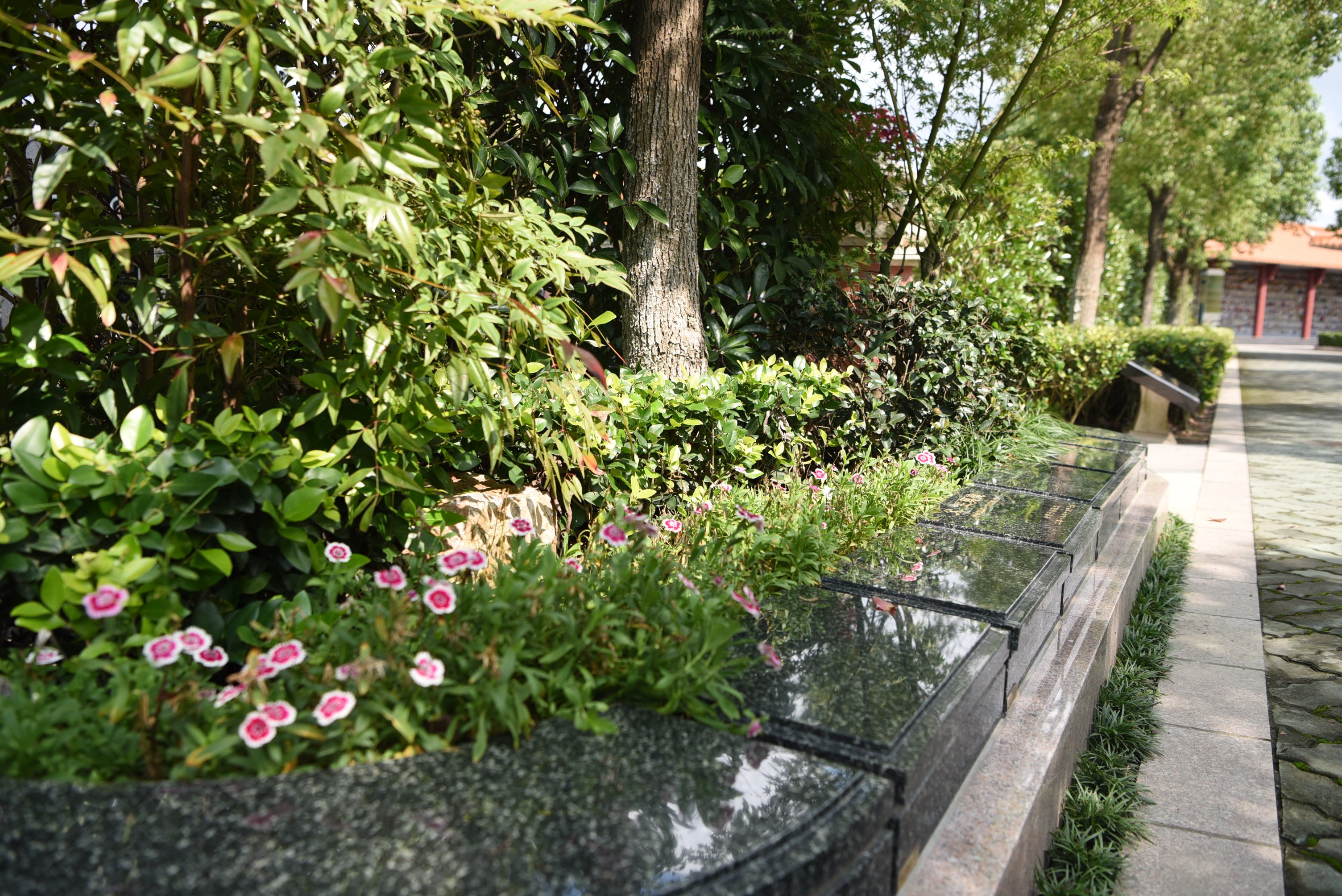 明升mansion88(中国游)最新官方网站