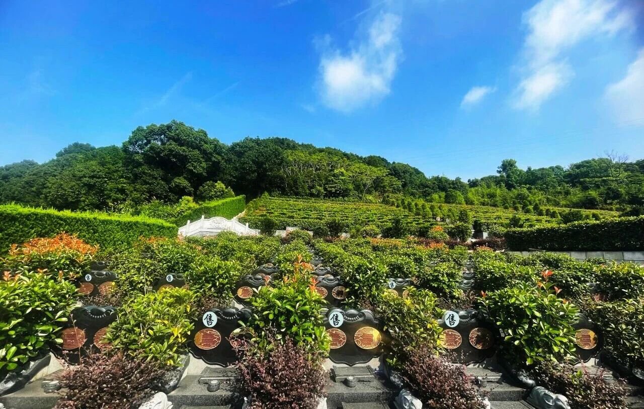 明升mansion88(中国游)最新官方网站