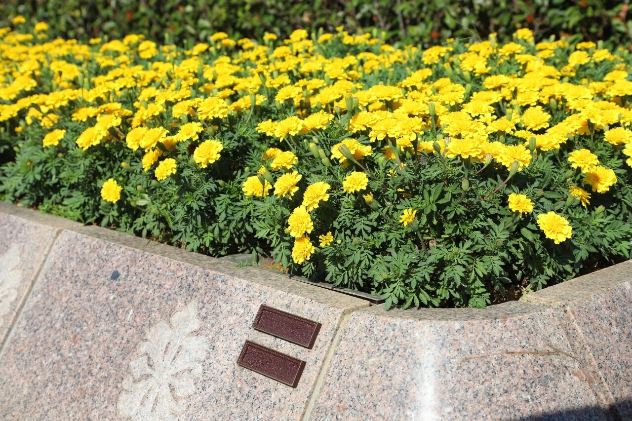 明升mansion88(中国游)最新官方网站