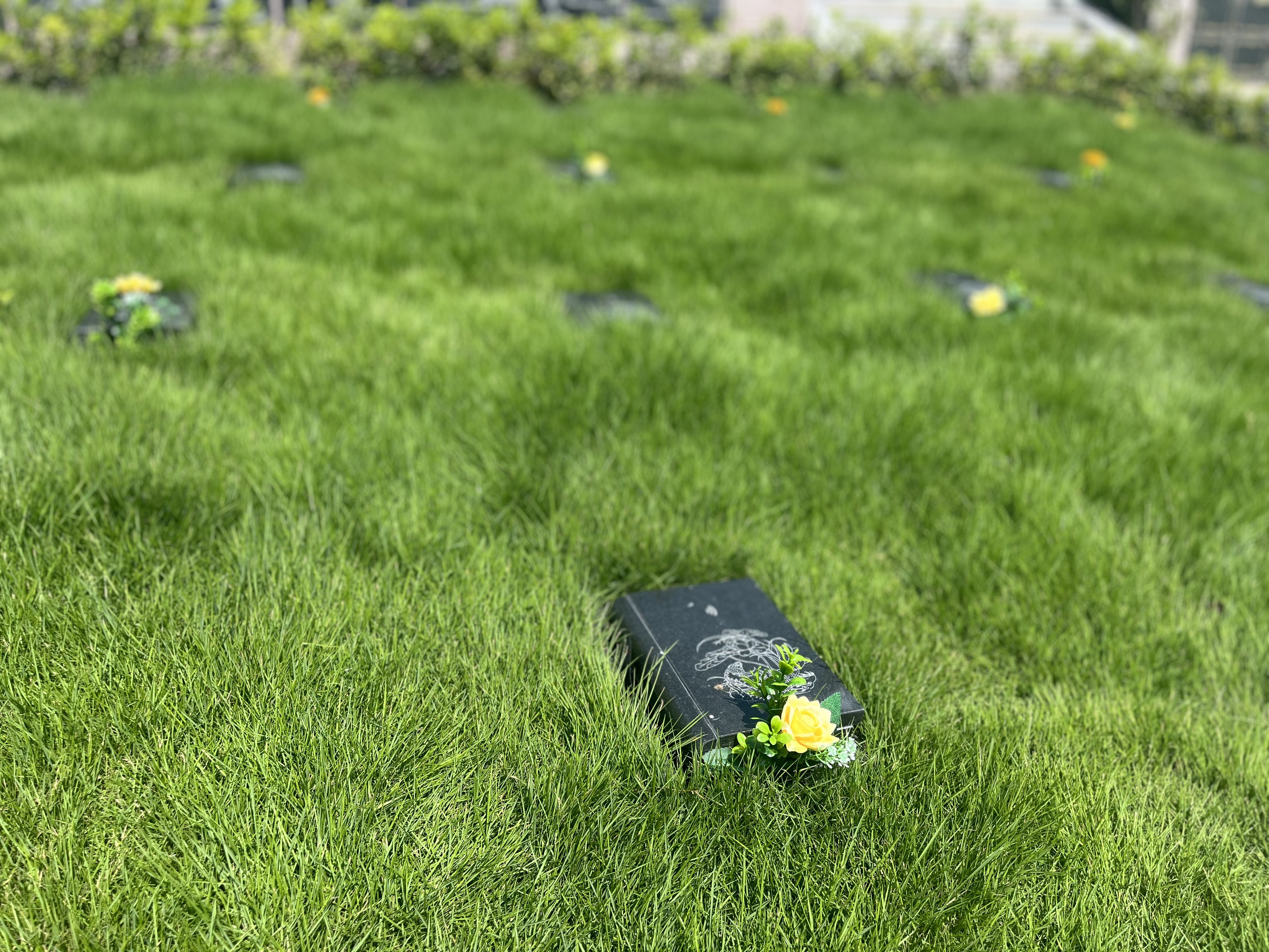 明升mansion88(中国游)最新官方网站