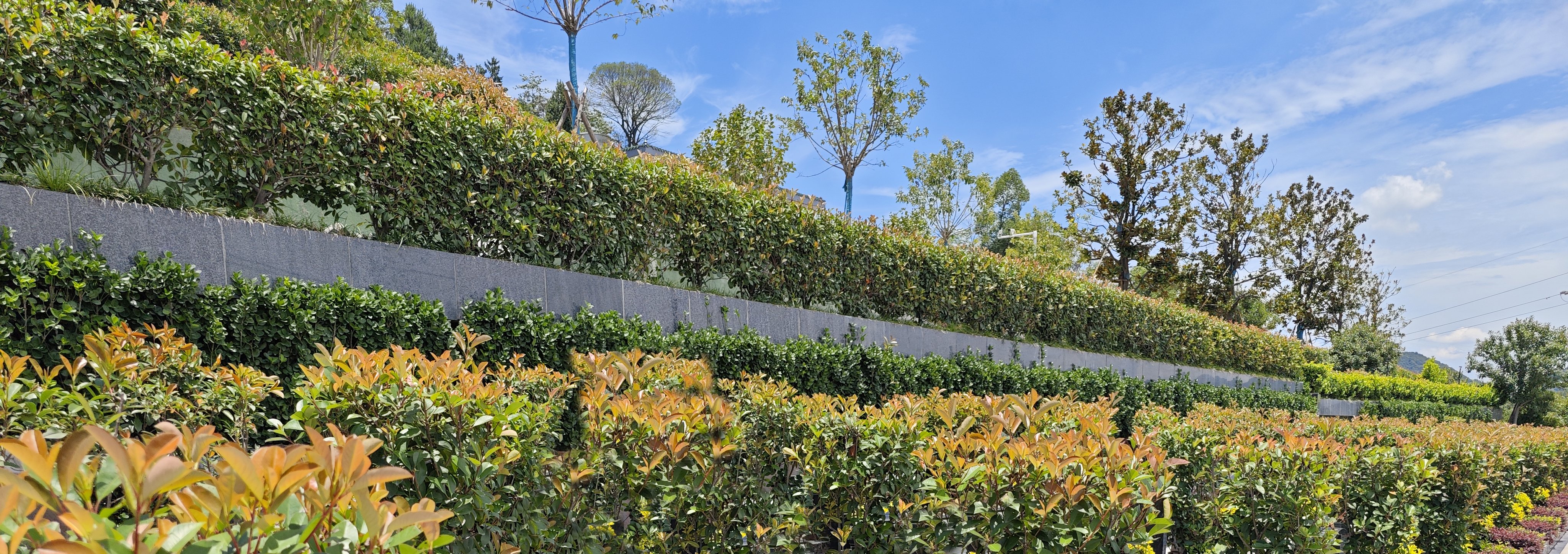 明升mansion88(中国游)最新官方网站