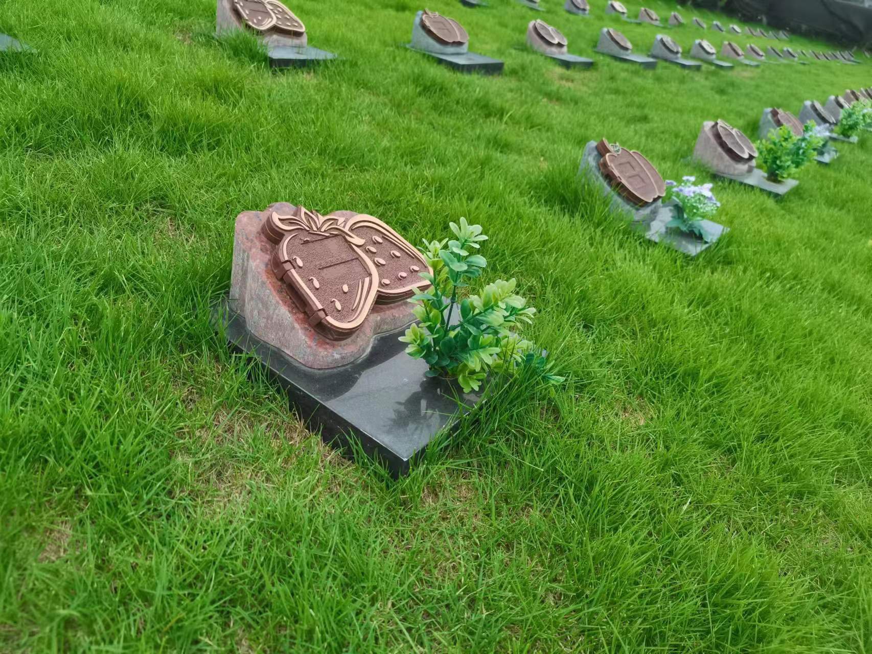 明升mansion88(中国游)最新官方网站